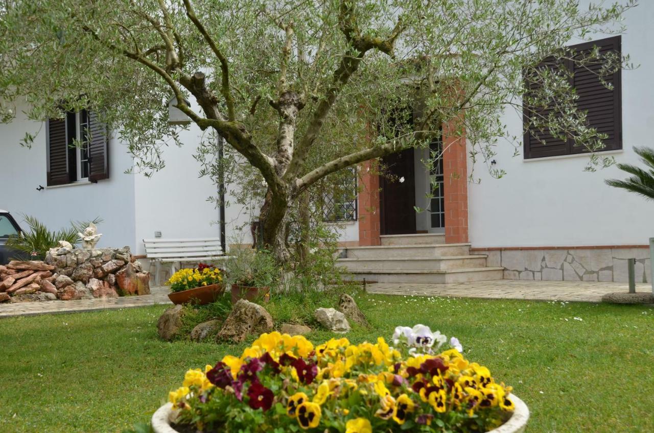 Il Grifo Hotell Sabaudia Exteriör bild